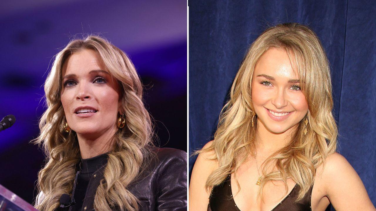A photo of Megyn Kelly alongside a photo of Hayden Panettiere