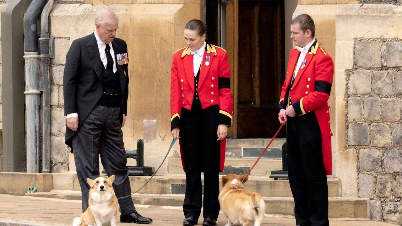 Photo of Andrew Mountbatten-Windsor with palace staff and corgies.