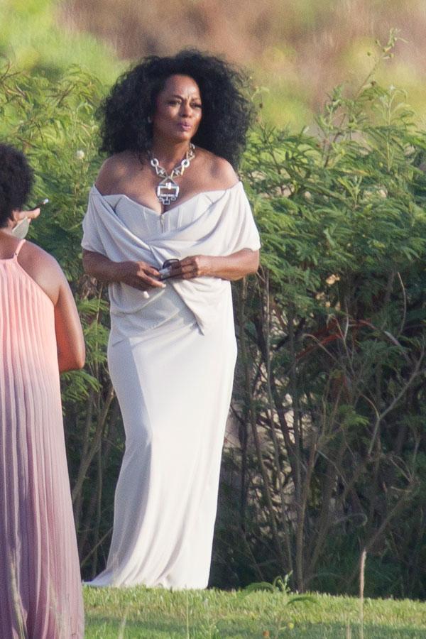 //diana ross at daughters wedding with kids