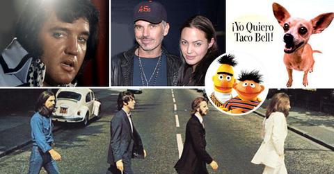 //urban legends wide