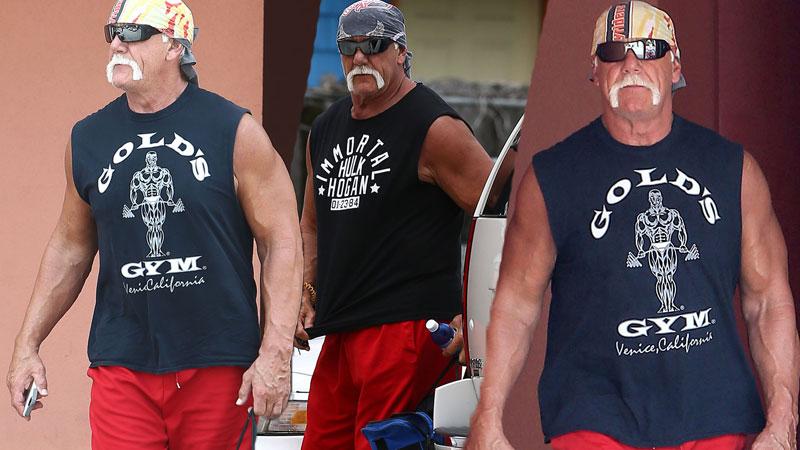 //hulk hogan spotted first time since racism scandal pp