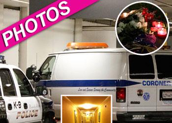 //whitney houston scene of death post