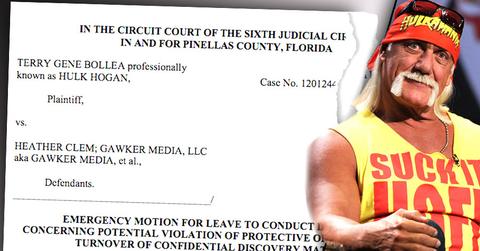 Hulk Hogan Leaked Racist Audio Excerpts