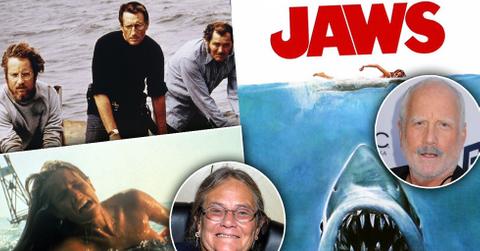 Jaws Movie Stars Where Are They Now