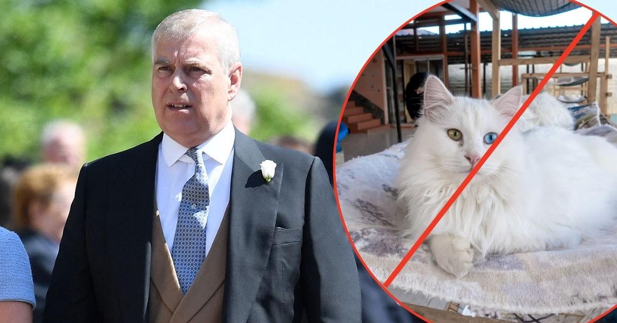 EXCLUSIVE: Andrew Windsor Has Moved 7 'Guests' Into…