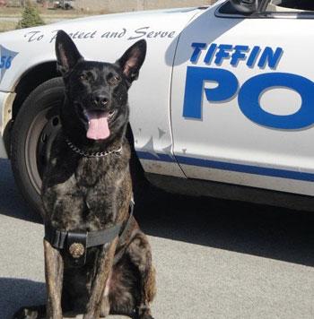 Outpouring Of Support Pays For Cancer-Stricken K9 Cop’s Treatment