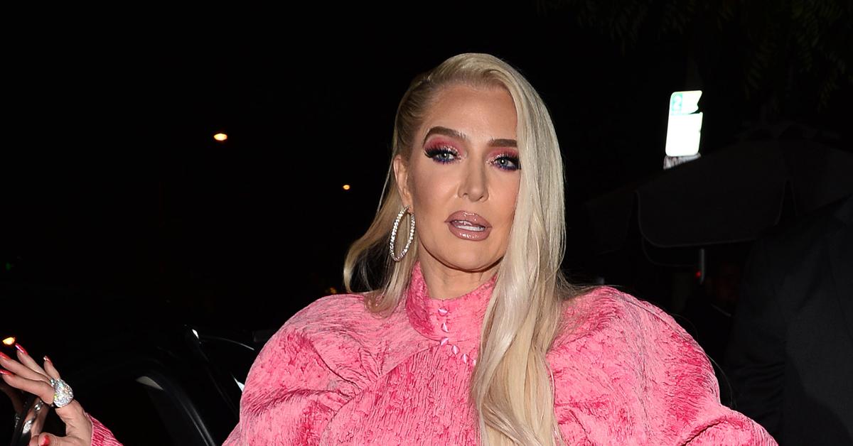 Erika Jayne's Neon Pink Mesh Bag