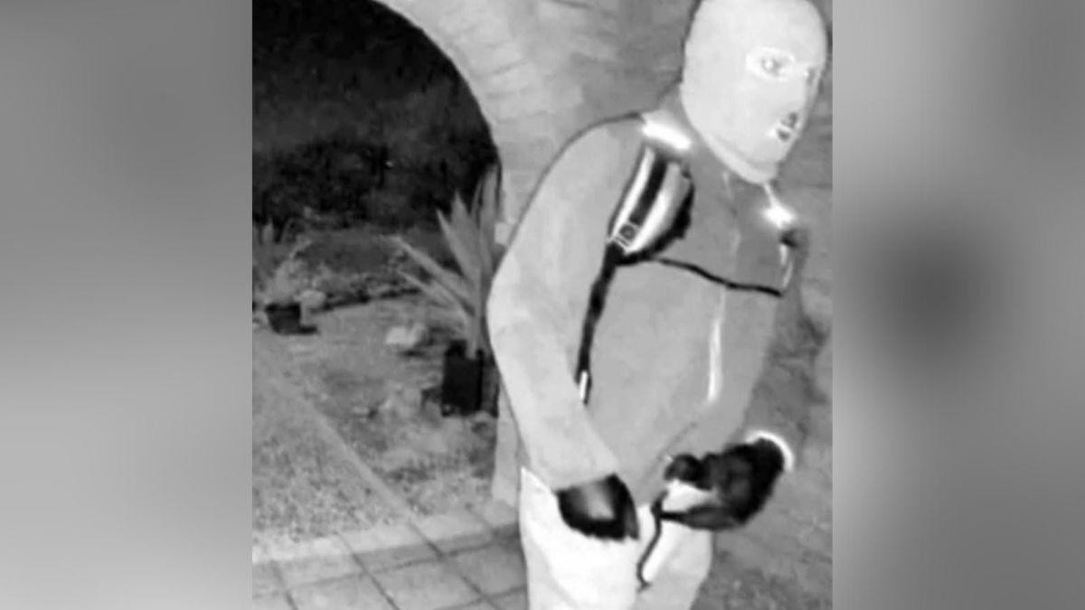 Photo of Nancy Guthrie intruder