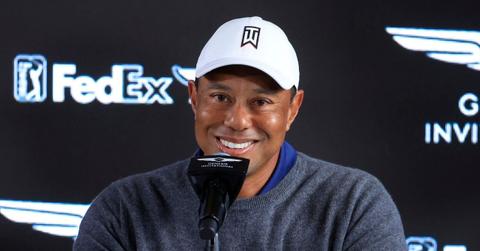 Picture of Tiger Woods