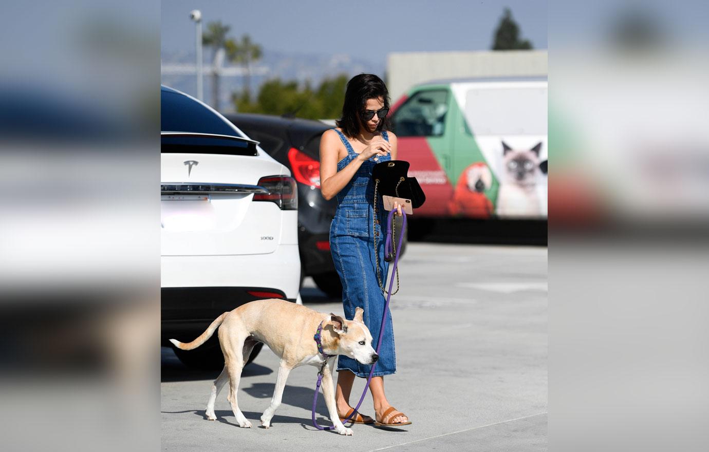 Jenna Dewan Takes Dog To The Vet