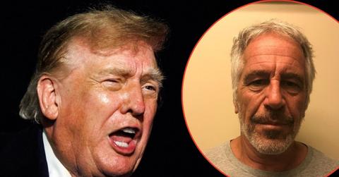 Picture of Donald Trump and Jeffrey Epstein