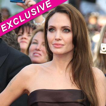 Angelina Jolie Sued For Allegedly Stealing The Story Behind Her New Film