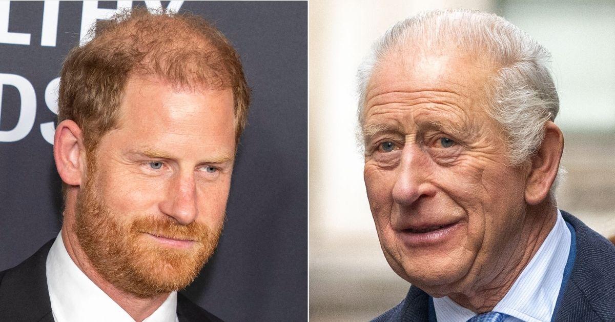 picture of Prince Harry and King Charles