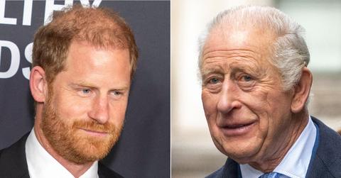 picture of Prince Harry and King Charles