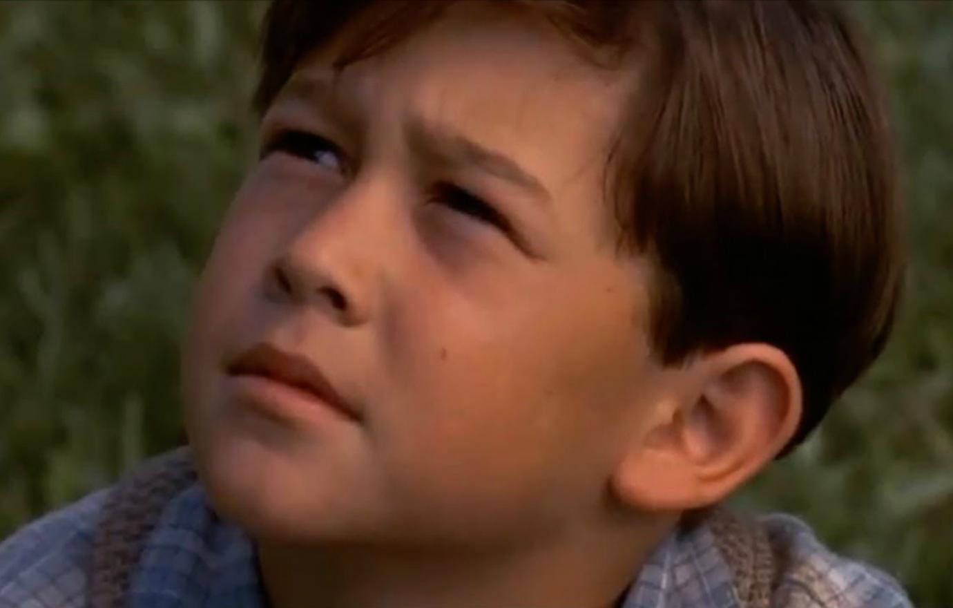 //child stars joseph gordon levitt