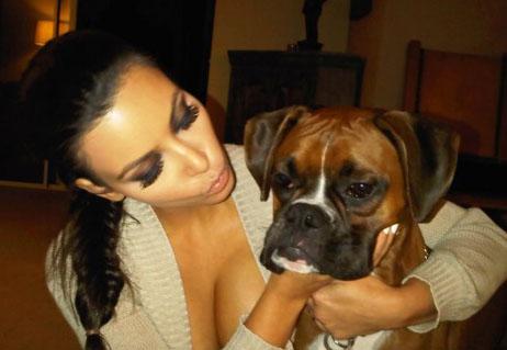 //kim kardashian rocky dog pics   x