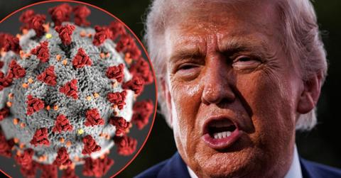 Photo of Donald Trump and a virus