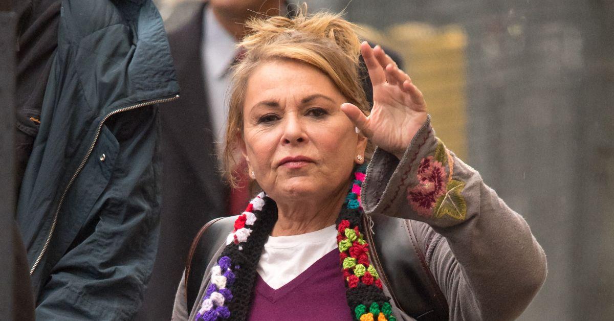 roseanne barr suffered backlash after controversial tweet