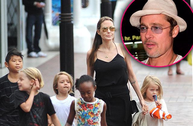 Brad's Not A Bad Dad! Pitt's Family Defends Him Against Child Abuse Charges