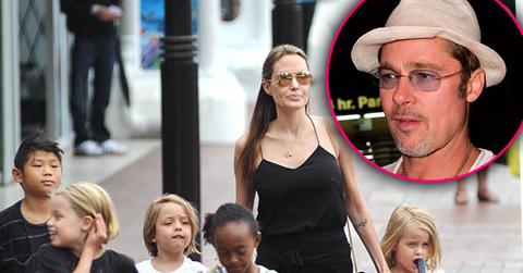 angelina jolie brad pitt divorce family cousin no abuse kids