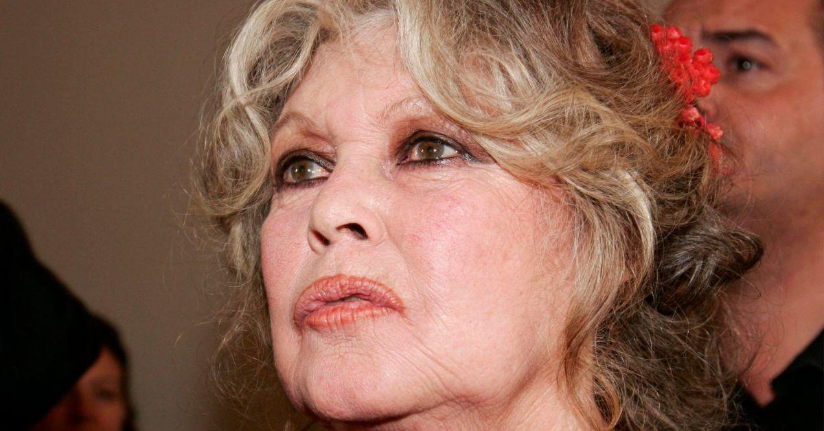 picture of Brigitte Bardot