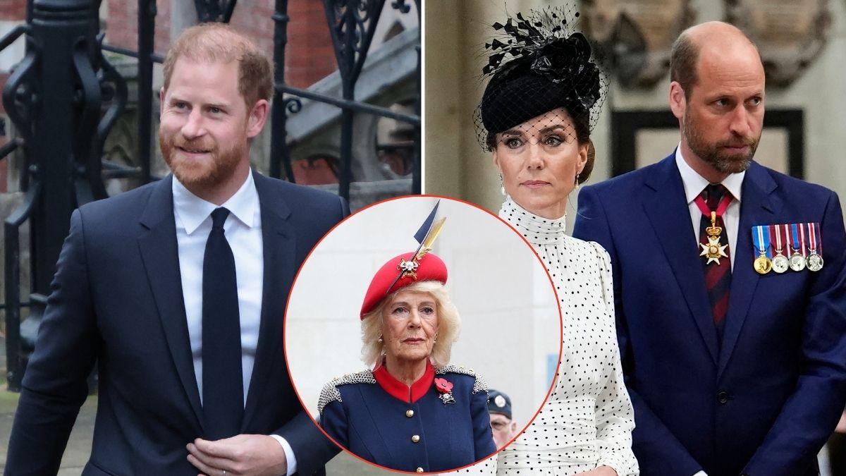 Photo of Prince Harry, Queen Camilla, Prince William and Princess Catherine