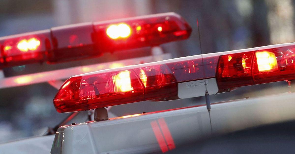 University Of Kentucky Student Sophia Rosing Spotted Leaving Jail