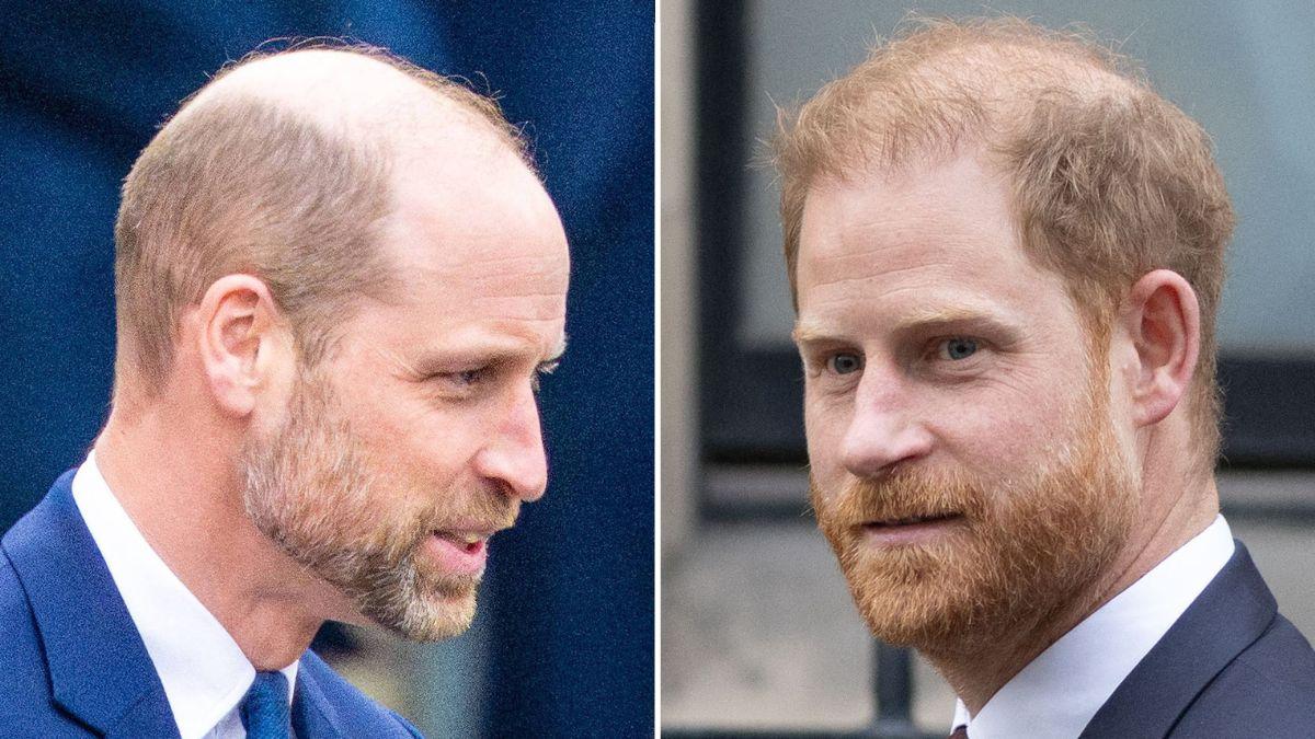 picture of Prince William and Prince Harry