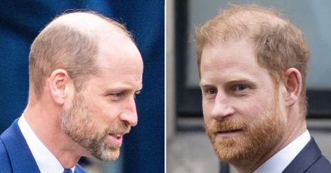picture of Prince William and Prince Harry