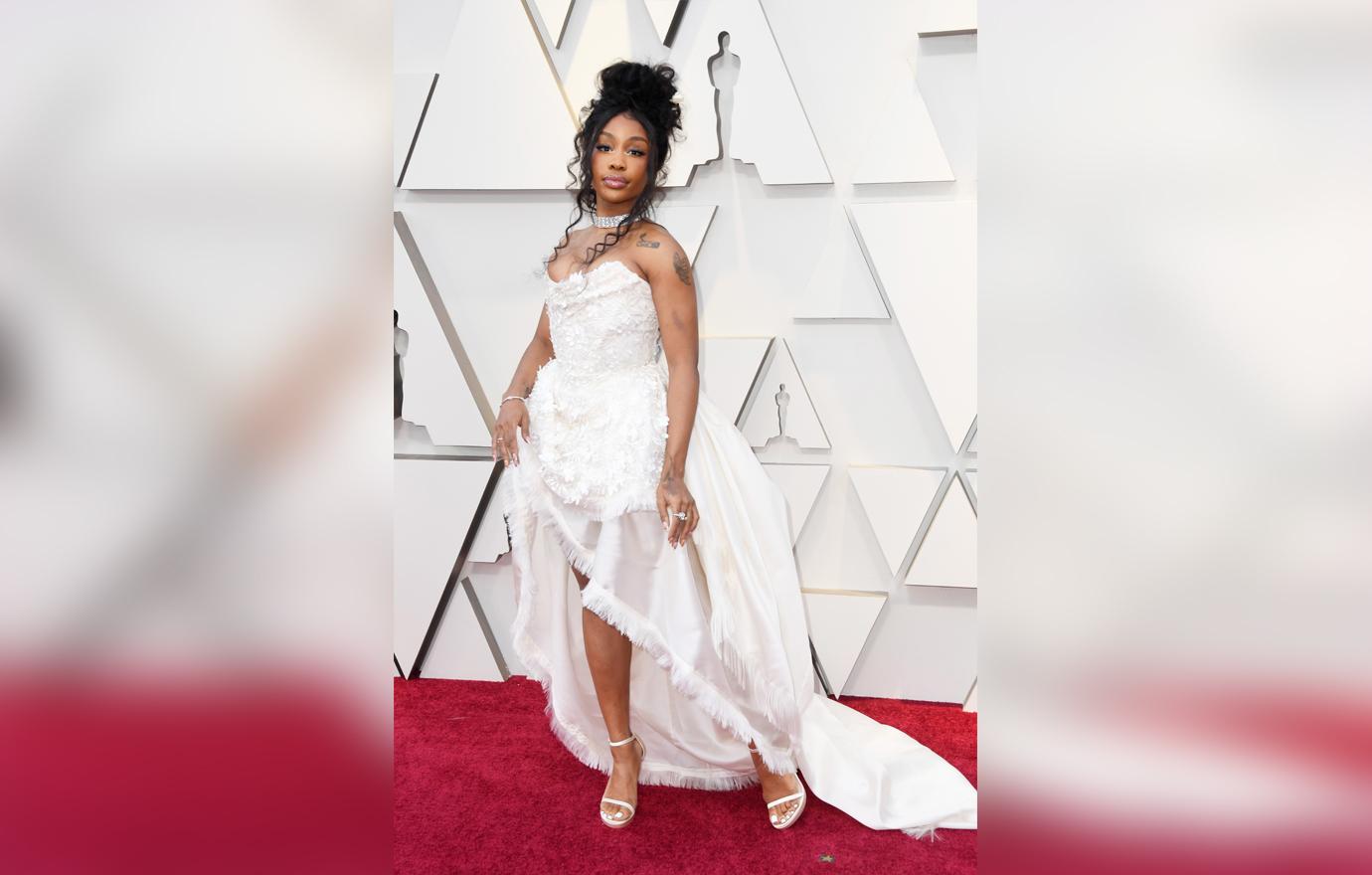 Academy Awards Oscars 2019 Red Carpet Arrivals Celebrities