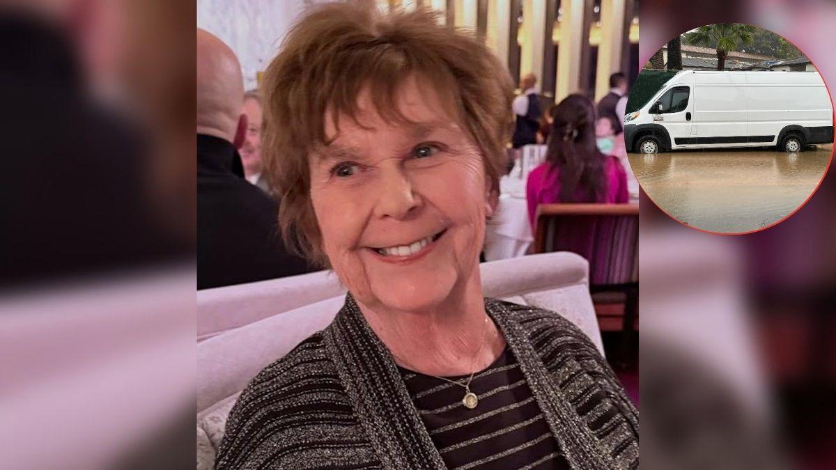 Composite photo of Nancy Guthrie and white van