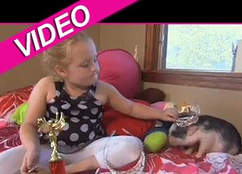 //boo boo pig discovery