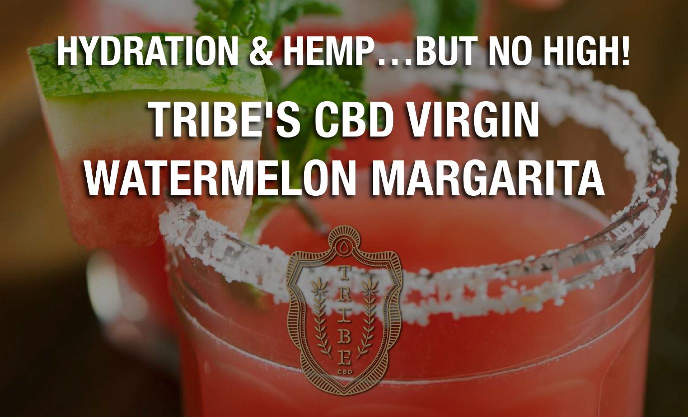 virgin watermelon margarita