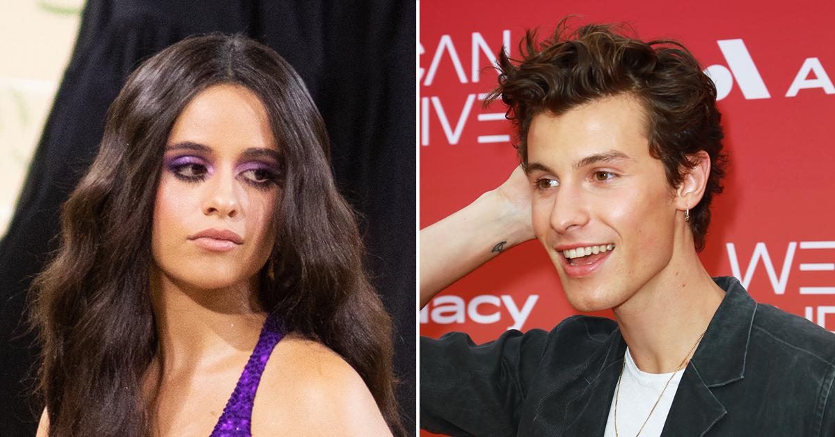 Camila Cabello Wrote Breakup Songs After Shawn Mendes Split