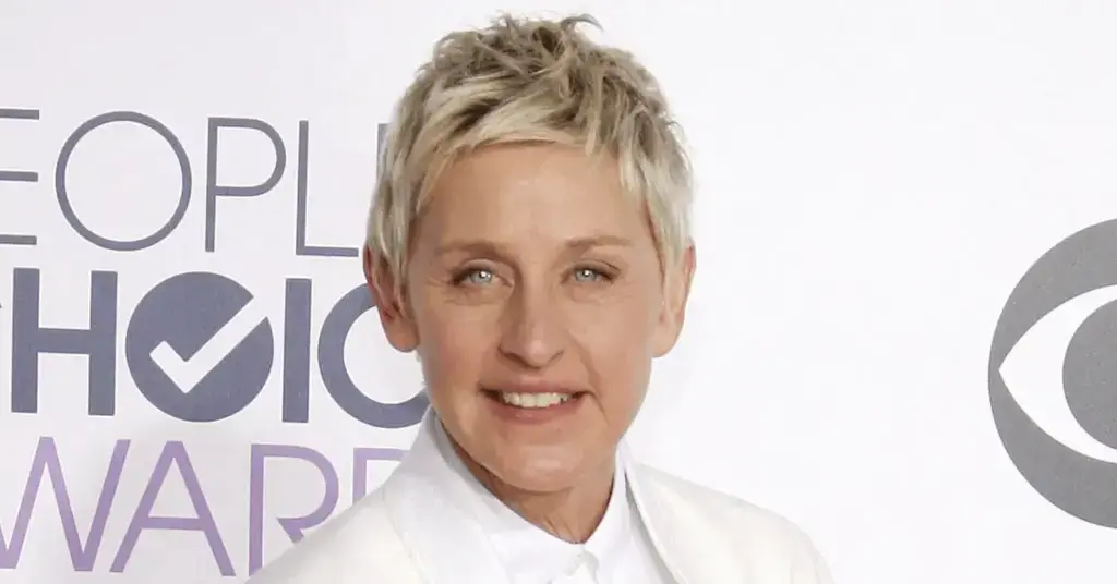 ellen degeneres causing car wreck running stop sign serious injuries