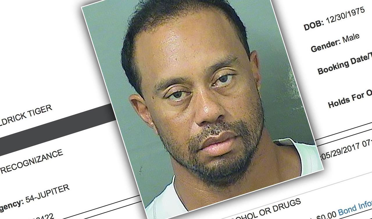 Tiger Woods Dui Arrest Radio Audio 9517