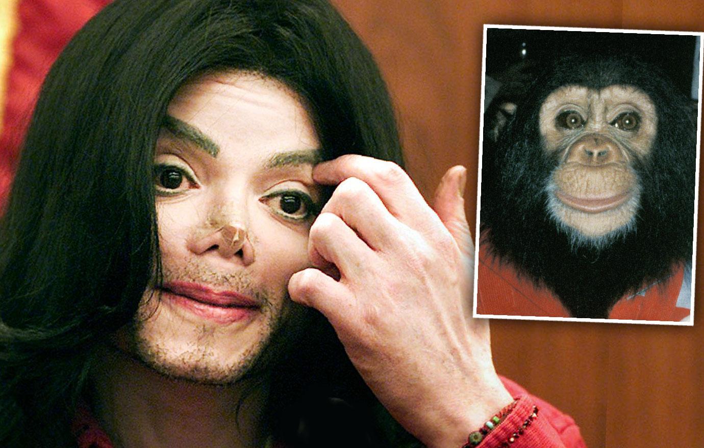 Michael Jackson's Chimp Bubbles Tried To Kill Himself Abused