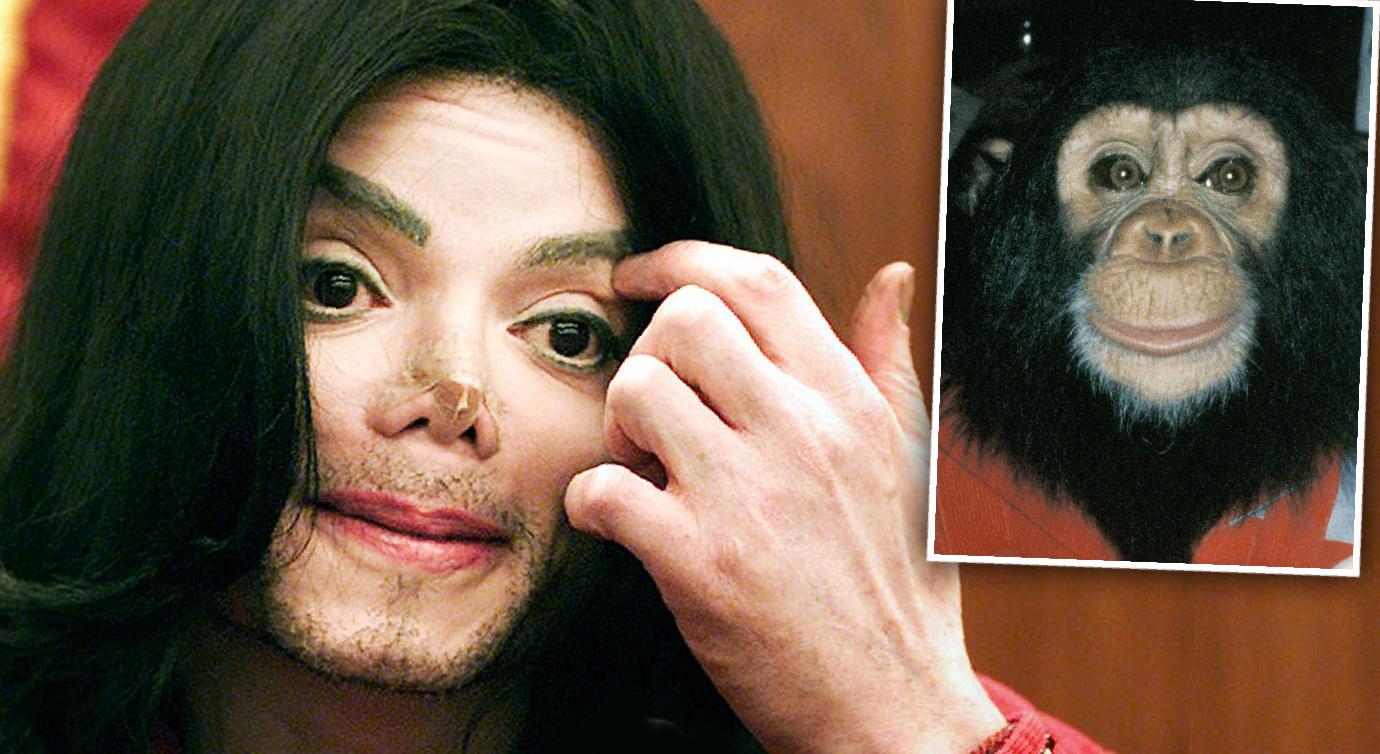 Michael Jackson's Chimp Bubbles Tried To Kill Himself Abused