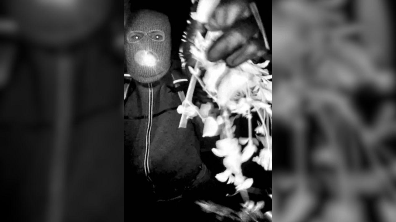 A security camera photo of a masked man on Guthrie's porch