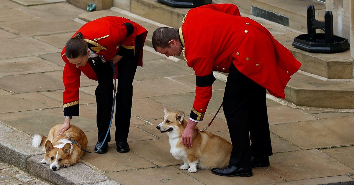 Queen Elizabeth's corgi dogs are described as among the few companions Andrew continues to rely on.