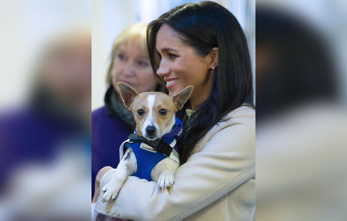 ‘Fat’ Meghan Markle Laughs Off Royal Insult During Animal Charity Visit