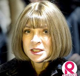 //anna wintour to new york lawyer didnt get you arrested