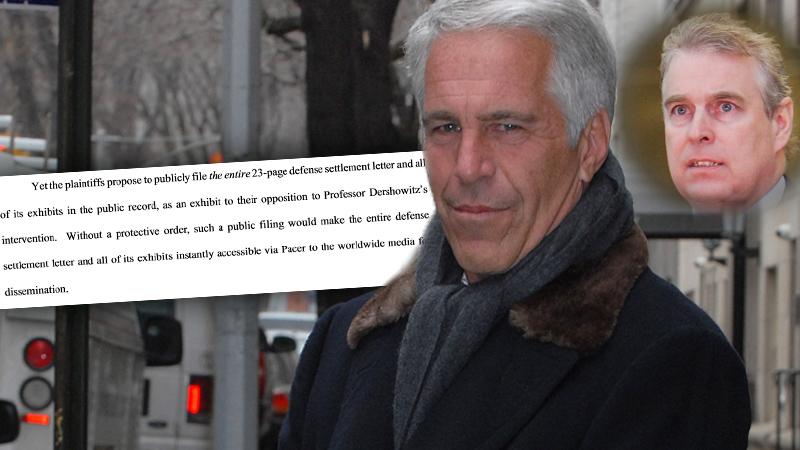 Jeffrey Epstein Plea Deal Seal Prince Andrew