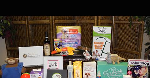 //All Star Dog Rescue Image