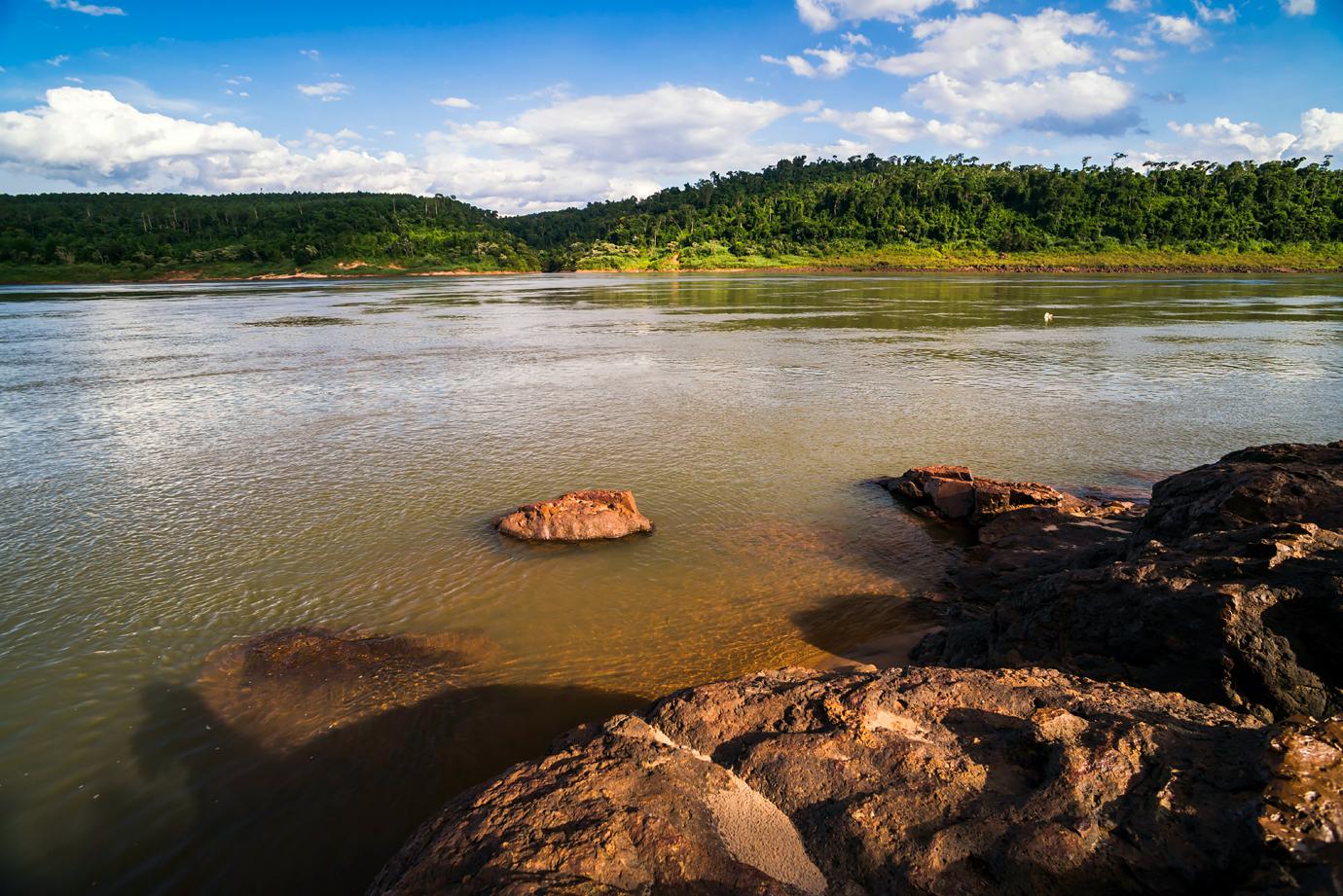 piranha attacks paraguay  deaths  injuring victim face disfigured r