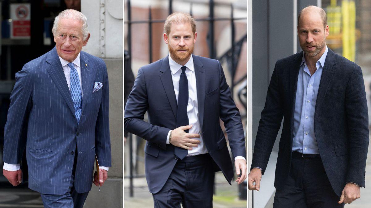 Split photos of King Charles, Princes Harry and WIlliam