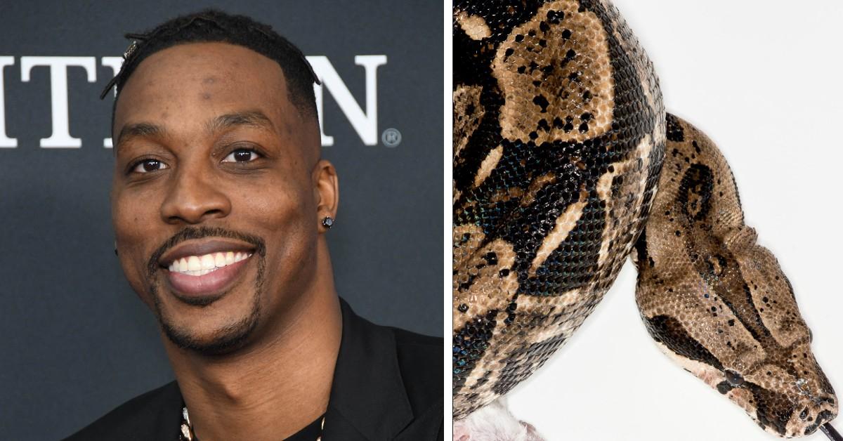 Ex-NBA Star Dwight Howard's Court Battle With 2 Women Hired to Care for His Giant Snakes Dropped - Vimarsana News