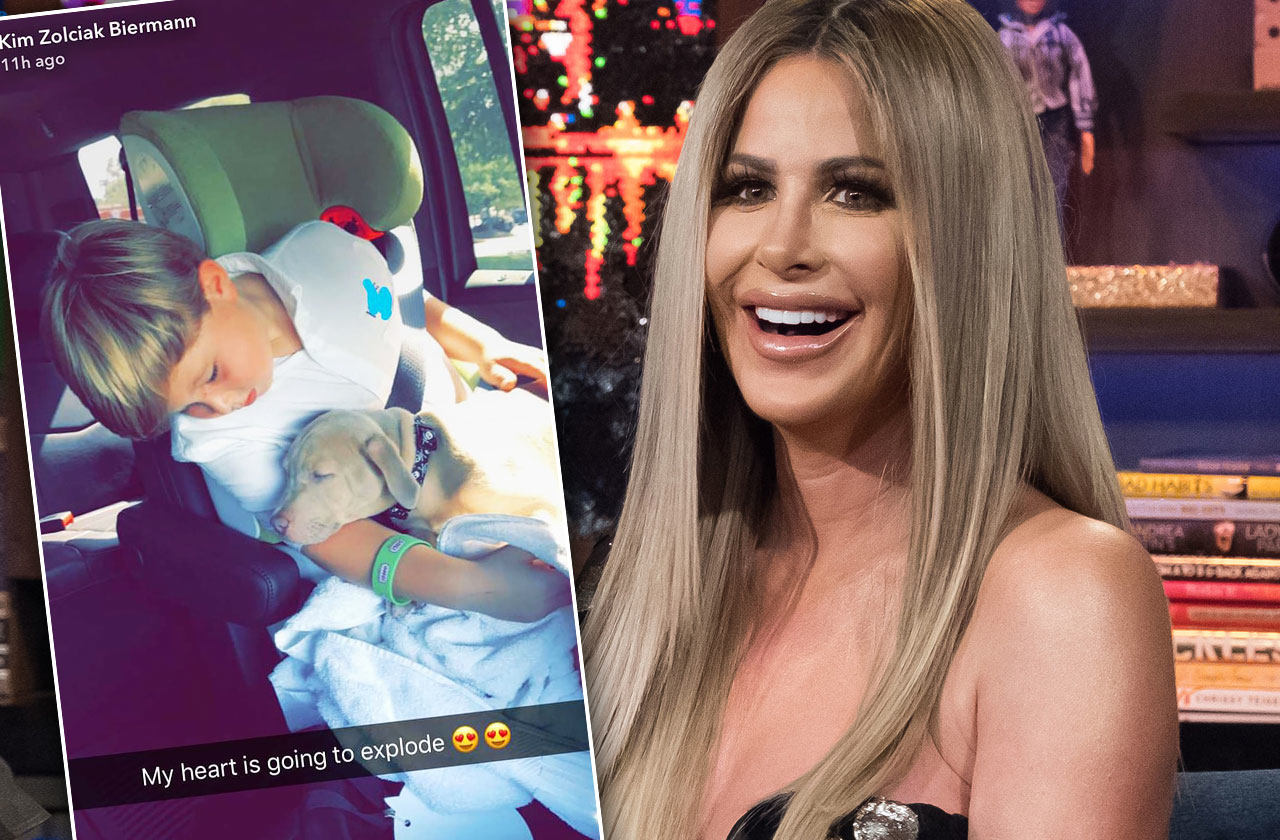 kim zolciak son kash biermann dog bite pitbull birthday