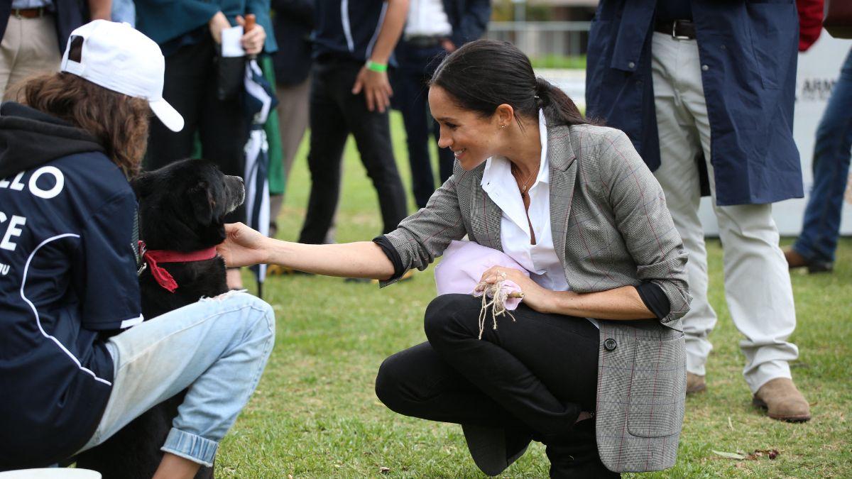 Photo of Meghan Markle