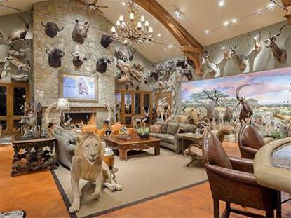 //texas house stuffed animals